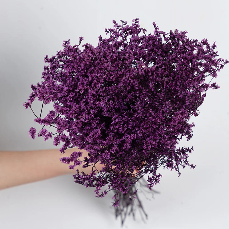 80g Natural Forever Dried Flower Crystal Grass Home Wedding Decoration Eternal Lover Grass Fall Decor Christmas Gift Arrangement