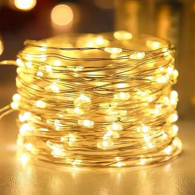 Battery Powered LED Lighting Strings Colorful Warm White Copper Wire Fairy String Lights for Christmas Wedding Party Home Decor