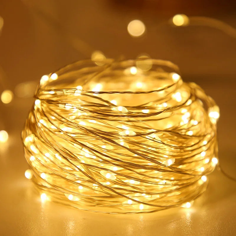 Battery Powered LED Lighting Strings Colorful Warm White Copper Wire Fairy String Lights for Christmas Wedding Party Home Decor