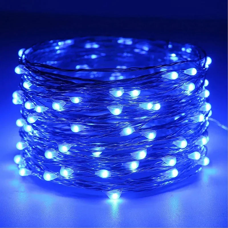 Battery Powered LED Lighting Strings Colorful Warm White Copper Wire Fairy String Lights for Christmas Wedding Party Home Decor