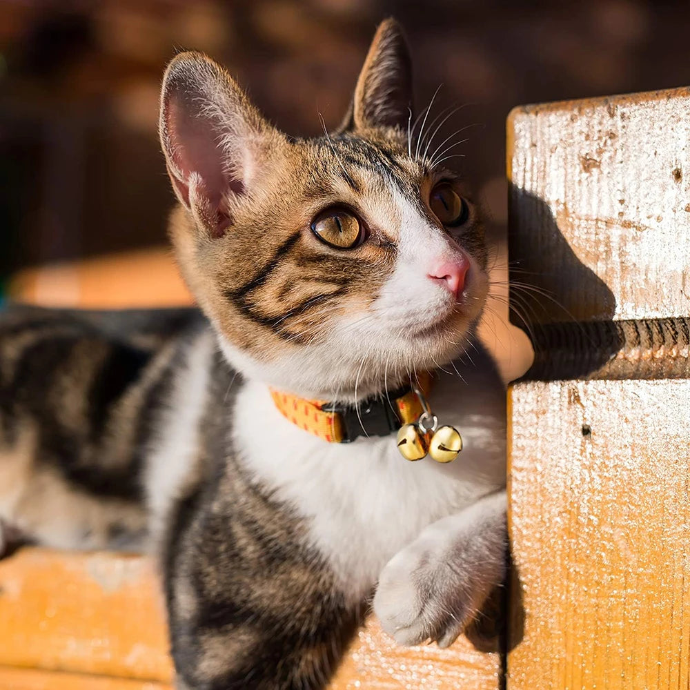 20/30mm Christmas Jingle Bells,Gold Cross Bells For Christmas Tree Decoration,DIY Metal Bell Ornaments