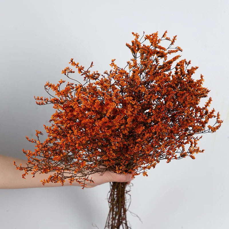 80g Natural Forever Dried Flower Crystal Grass Home Wedding Decoration Eternal Lover Grass Fall Decor Christmas Gift Arrangement